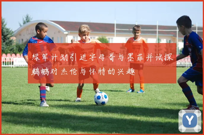 绿军计划引进字母哥与墨菲并试探鹈鹕对杰伦与怀特的兴趣